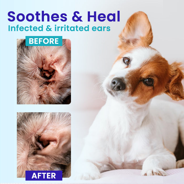🌟 Official Store |Cvreoz® Gentle Ear Relief