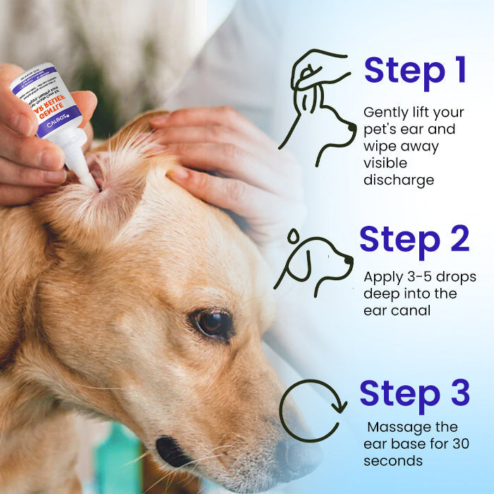 🌟 Official Store |Cvreoz® Gentle Ear Relief